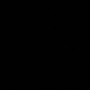 Meet your Posher, Mya